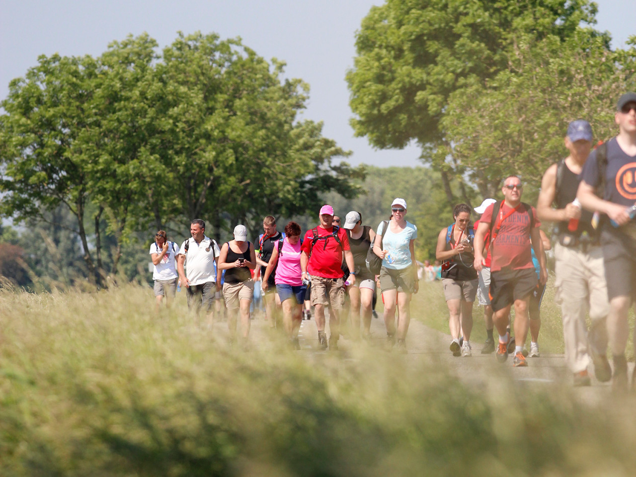 Wandelen in Harlingen